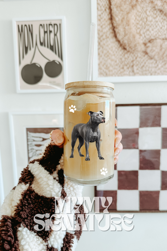 Modèle 16 oz - Pitbull