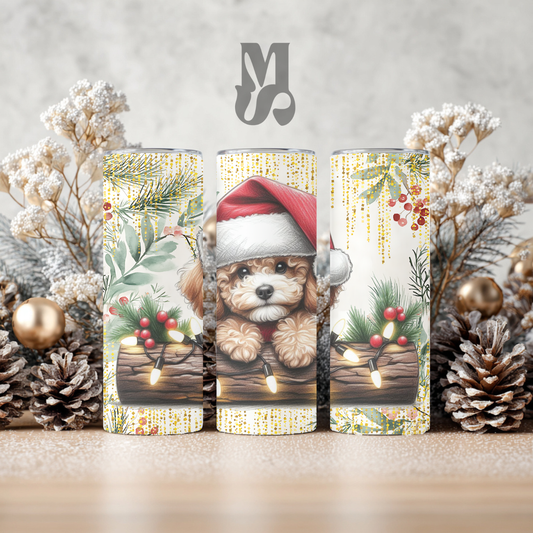 Tumbler 20 oz - Caniche toy Noël