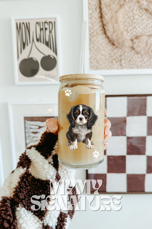 Modèle 16 oz - Cavalier King Charles 3 couleurs