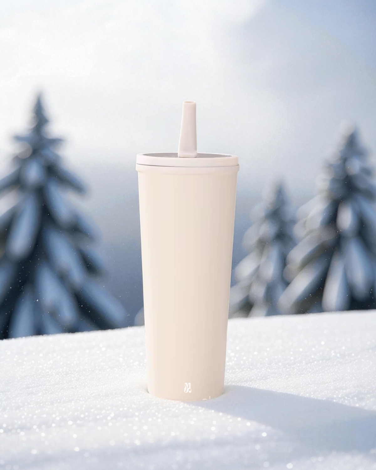 Gourde isolée 22 oz - Acier inoxydable avec Paille Pliable