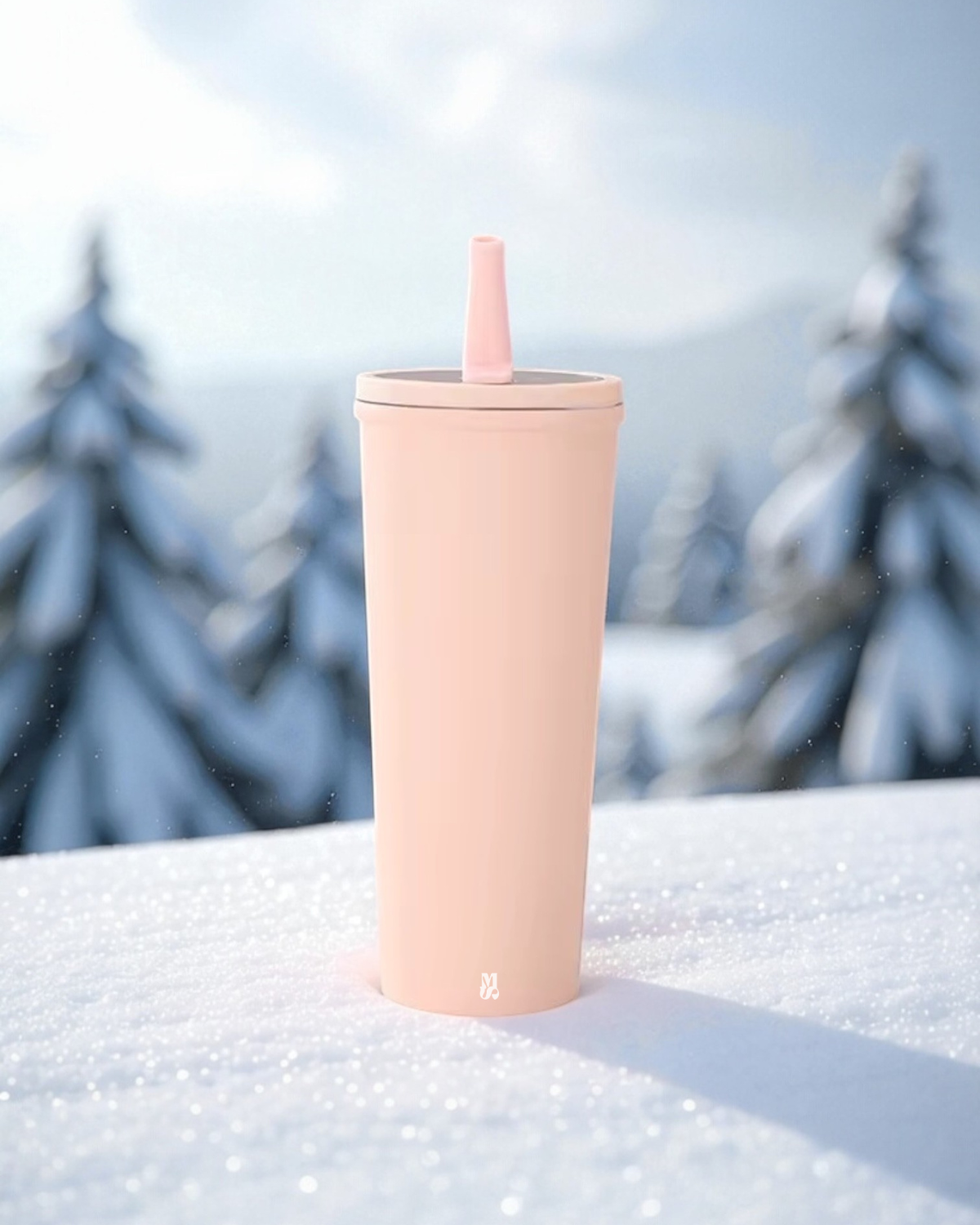 Gourde isolée 22 oz - Acier inoxydable avec Paille Pliable